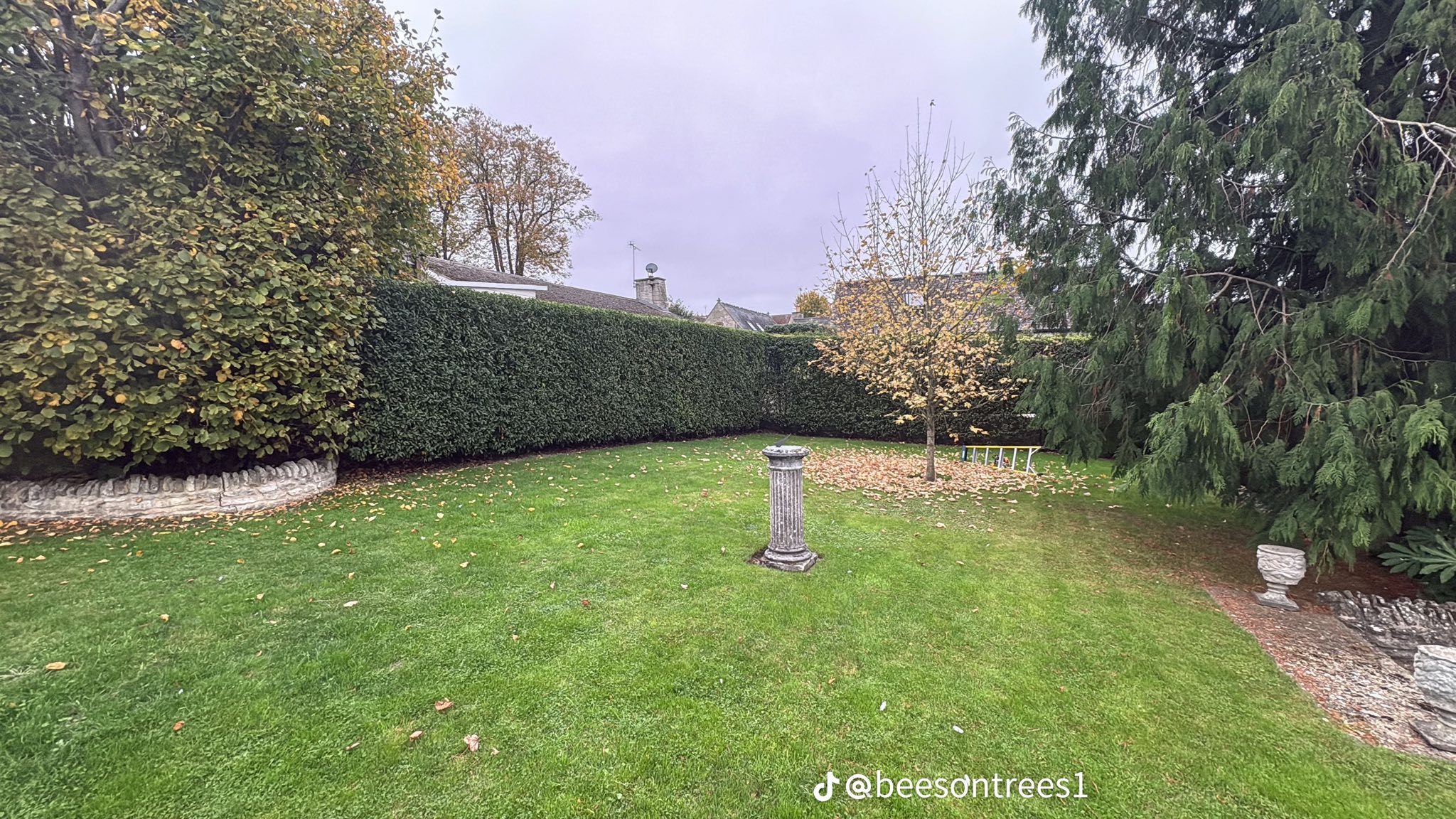 Professional tree surgery work in the Cotswolds